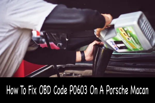 How To Fix OBD Code P0603 On A Porsche Macan