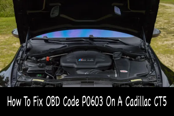 How To Fix OBD Code P0603 On A Cadillac CT5