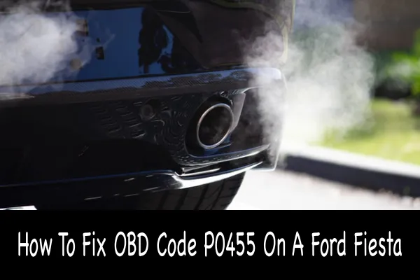 How To Fix OBD Code P0455 On A Ford Fiesta