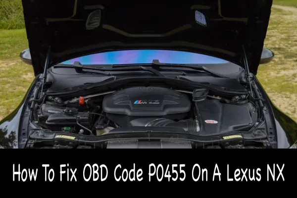 How To Fix OBD Code P0455 On A Lexus NX