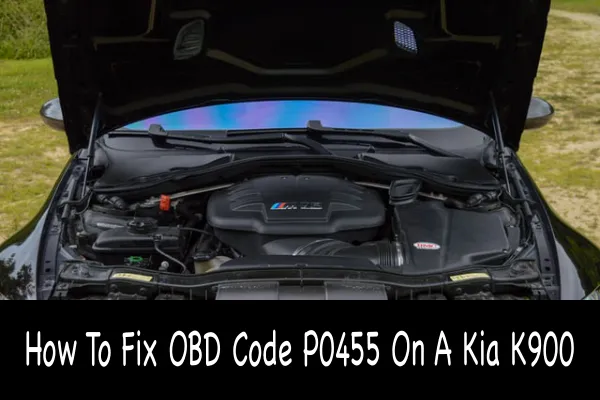 How To Fix OBD Code P0455 On A Kia K900